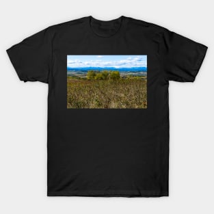 Fall in Canada T-Shirt